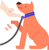 Dog Walking